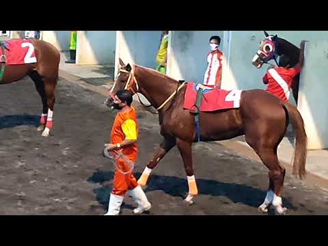 BASHEIRROU🐴2021 PHILRACOM 3RD LEG JUVENILE STAKES RACE CHAMPION🐴25'-22-23-26' 1:37 🐴1600M