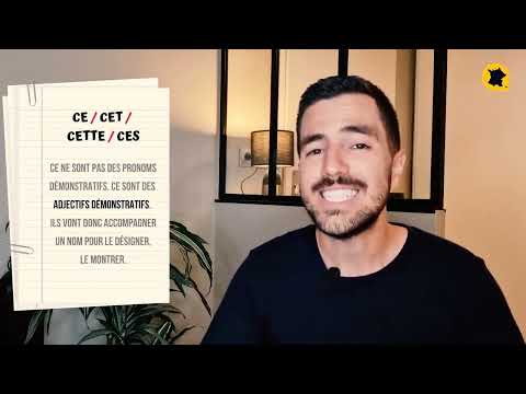 ça / cela / ceci / ce / cet / cette / ces