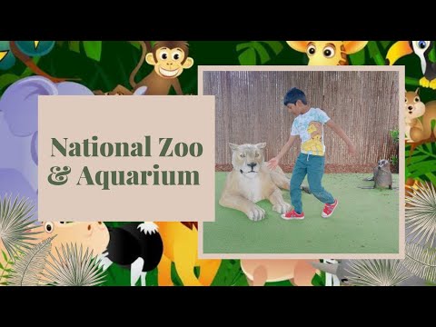 National Zoo & Aquarium||Canberra ||Pranshul Talks