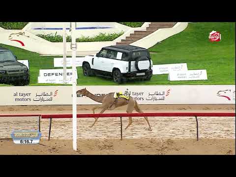 ملخص السباق ، ختامي المرموم 2026/03/23 حقايق