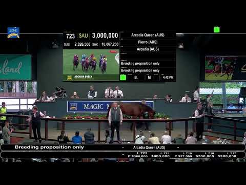 Arcadia Queen Magic Million Broodmare Sale