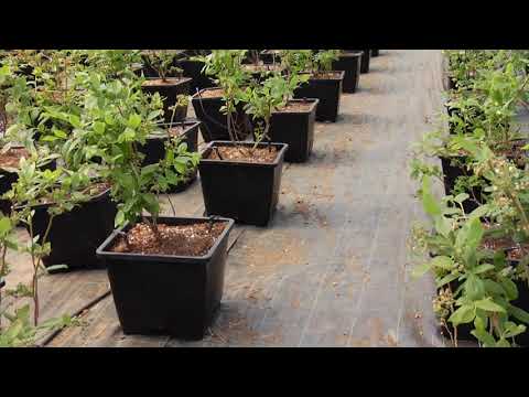 Reč struke ep. 213 25.10.2018. NAJAVA