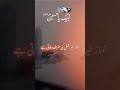 Labbaik Ya Abbas Ali Jee 2025 Labbaik Ya Hussain ️ Shorts