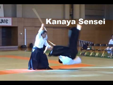 Aikido Demonstration - Hirotaka Kanaya Shihan 7 dan
