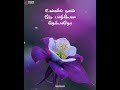 Ootha Ootha Ootha Poo Song Best Lyric Video