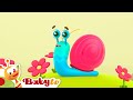 Snail Trail Daily On BabyTV BabyTV