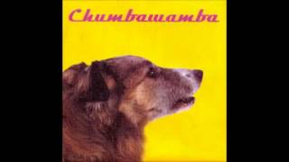 Ladies for Compassionate Lynching - Chumbawamba (WYSIWYG Album)