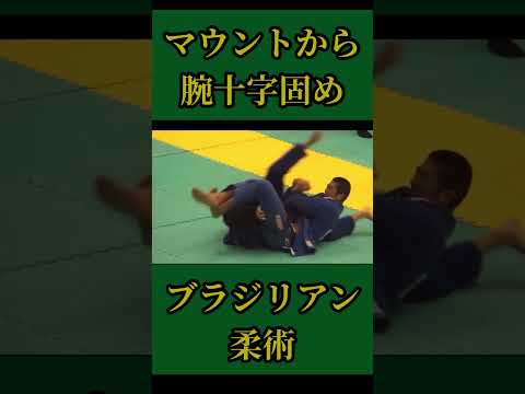 マウントから腕十字　#ブラジリアン柔術