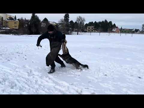 Yennie z Jukasu - protection 1/2024