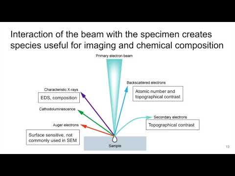 MSE585 F20 Lecture 18 Module 3 - Electron-Specimen Interactions