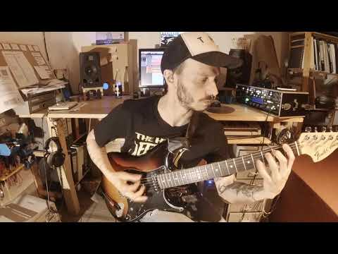 The Hirsch Effekt - DOMSTOL Guitar Playthrough