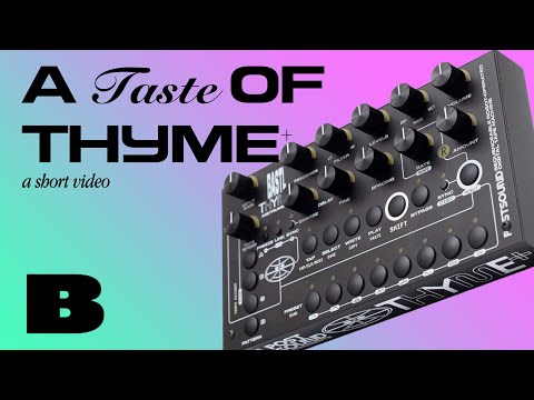 Bastl Thyme+ Quickie : robot assisted time crimes (it's a digital tape delay)