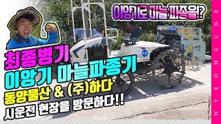 마늘 파종 이앙기로 한다! 이앙기 마늘파종기 동양물산 & (주)하다 개발 시운전 현장을 가다 팜이즈