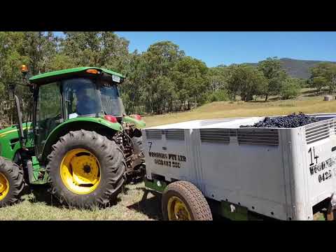 Tulloch Wines