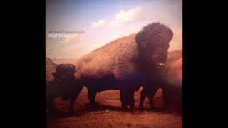 Kosheen - Harder (Ashley Beedle Soultek Vocal Mix)