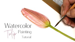How to paint pink- peachy tulip with watercolors, relaxing art video tutorial