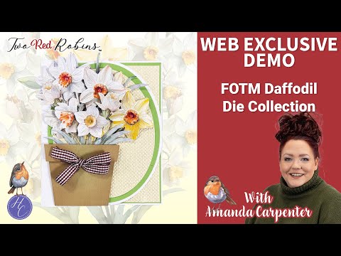 Colección de troqueles Narciso FOTM | Demostración de creación de tarjetas | Dos petirrojos | Hig...