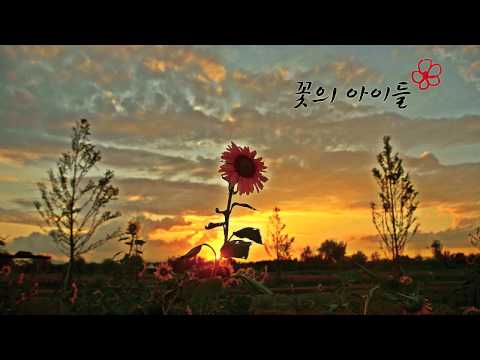 해바라기 - 꽃의 아이들*   Sunflower - Flower Child Orchestra