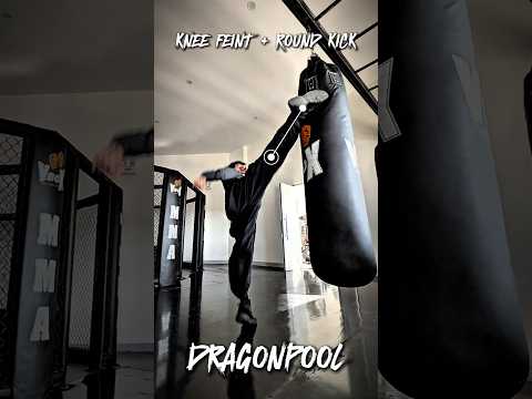 Feint round kick #shortvideo #youtubeshorts #yt #ytshorts #shortsvideo #sports #training #mma #kick