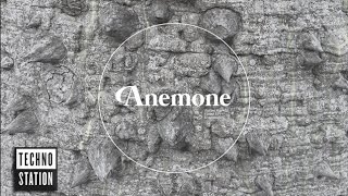 Wataru Kishida - Forest