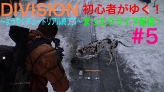 #5 ディビジョン まったり初心者配信