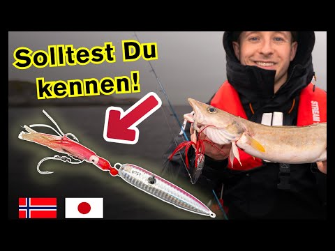 Leichtes Angeln auf LENG mit Japan-Jigs