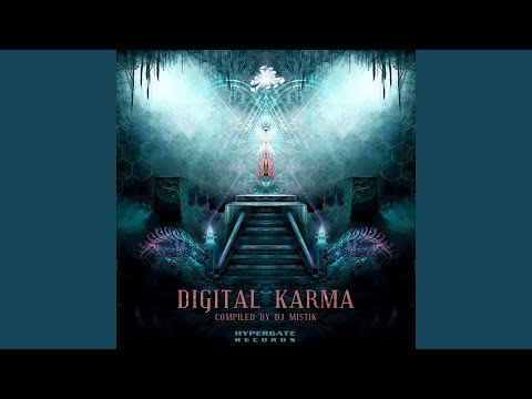 Digital Karma