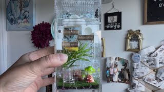 Jumping Spider Enclosure Review 
