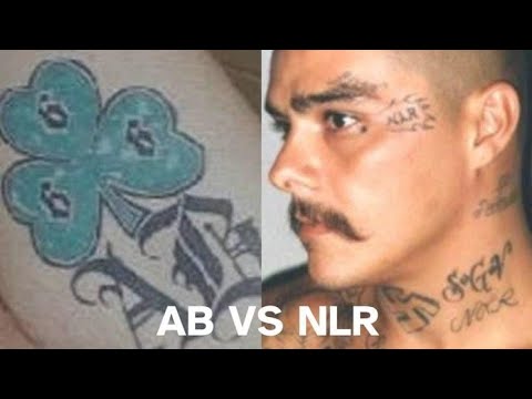 Warum hat die Marke die Bücher bei NLR geschlossen?