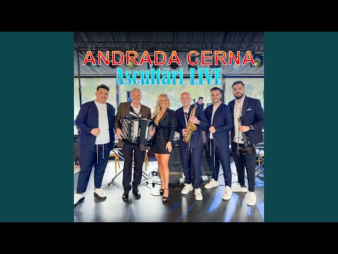 Într-o zi pe înserate (Live)