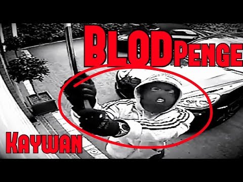 Kaywan - Blodpenge