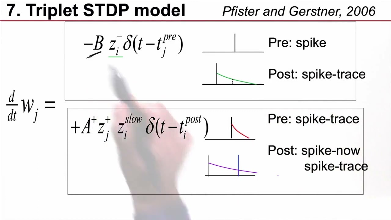 NDC6.7 - Triplet STDP Model