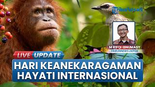 Hari Keanekaragaman Hayati Internasional, Menteri LH Klaim Biodiversitas Indonesia Terbesar di Dunia
