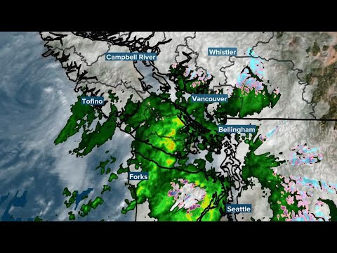 Strong wind warnings in effect for Metro Vancouver