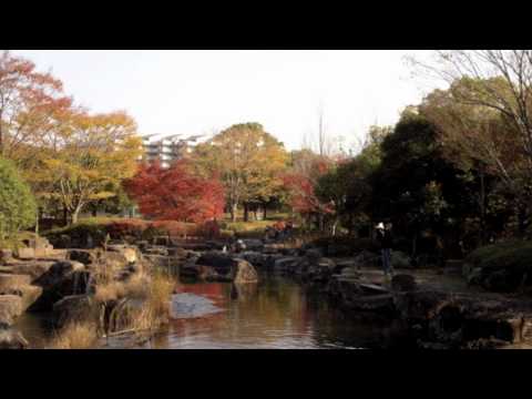 I've Had The Time Of My Life - Fatima Rainey