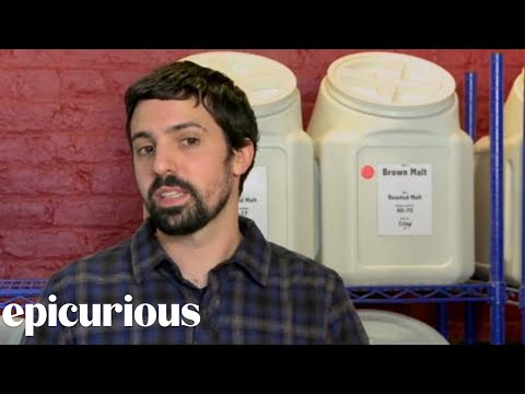 Homebrewing 101: Lagers vs. Ales