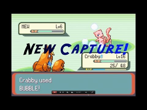 Pokemon Emerald Nuzlocke Randomizer #3