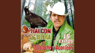 A Donde Vas Anastacio Lyrics English Translation