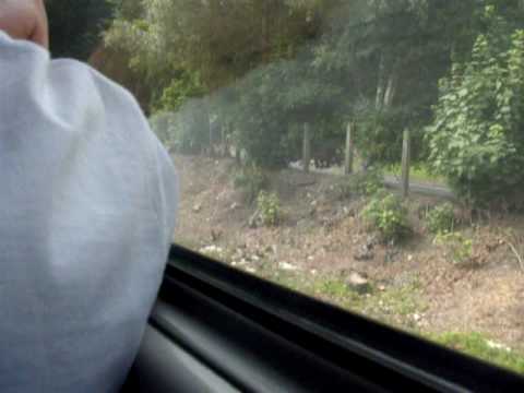 158834 - Chirk - 6th July 2009