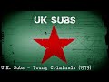 U.K. Subs - Young Criminals (1979)