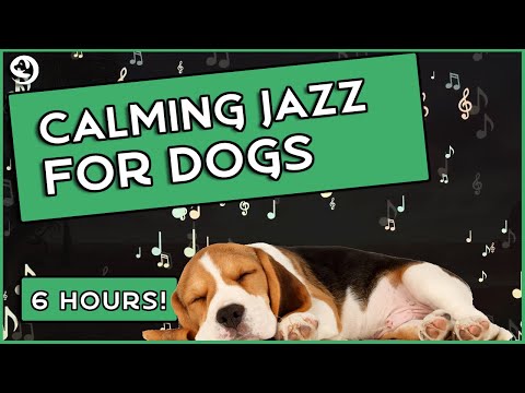 Calming Jazz Music For Dogs - Relaxing Dog Music To Stop Anxiety