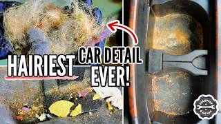 The Nastiest Toyota Land Cruiser! Complete Disaster Car Detailing Transformation || Stauffer Garage