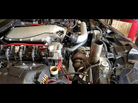 NEW* Holley Lo-Ram - Quick video to show height