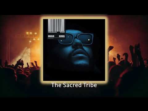 Swedish House Mafia, The Weeknd - Moth To A Flame (Moojo Remix) - #afrohouse