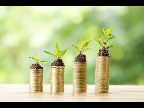 Finance4u - Money, Investment & Entrepreneurship Summer Camp for Kids and Teens (2024)