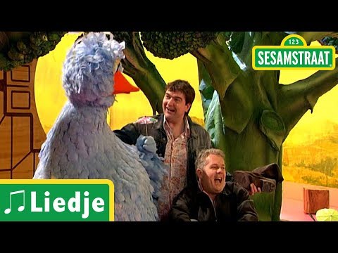 Sesamstraat - Laten We Schuilen - Misc Television