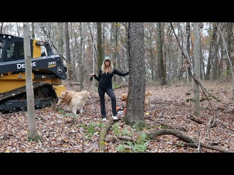 #600 I had one chance to get this Cherry Log, didn't pan out