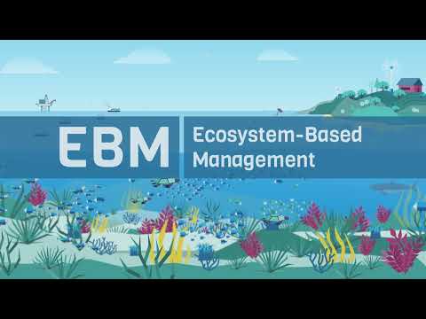 Ecosystem-Based Management: A Holistic Approach to Environmental