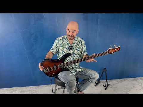 Бас-гитара YAMAHA TRBX-204 (Old Violin Sunburst) - фото 2 - id-p1325768084