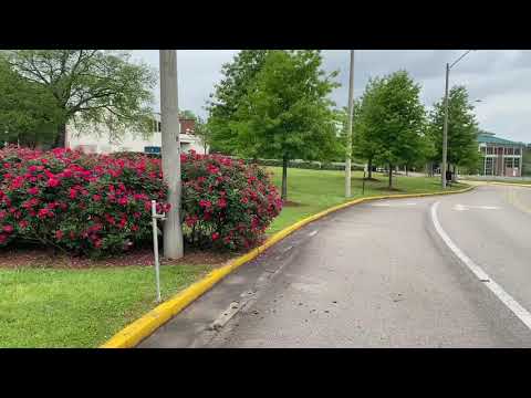 Shelton State Community College - video